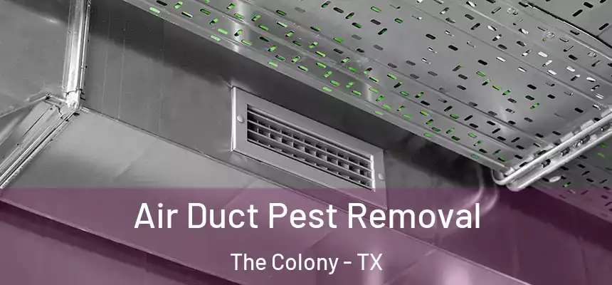 Air Duct Pest Removal The Colony - TX