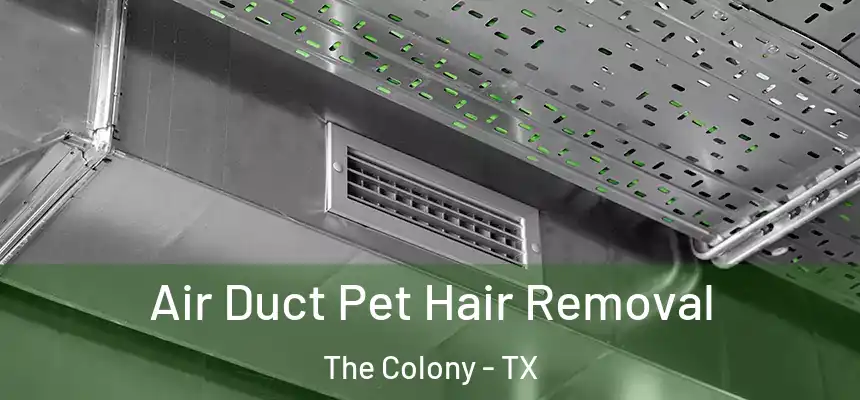 Air Duct Pet Hair Removal The Colony - TX