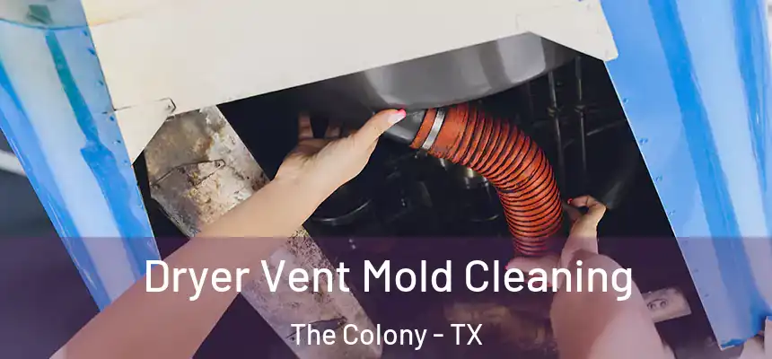  Dryer Vent Mold Cleaning The Colony - TX