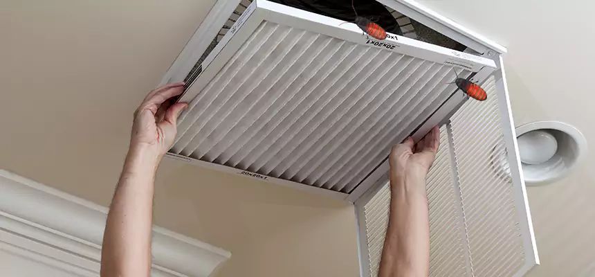 Preventive Cockroach-Proofing for Ducts in The Colony