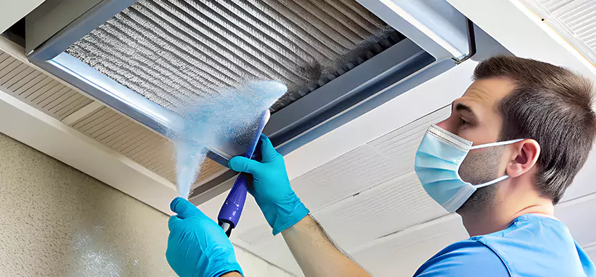 Proactive Dryer Vent & Auxiliary Duct Pollen Cleanup in The Colony, TX