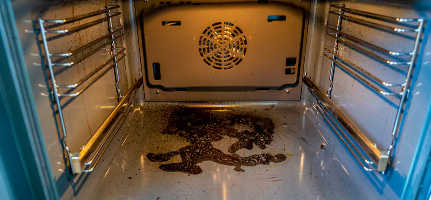 Our Dryer Vent Mold Cleaning Services in The Colony, TX