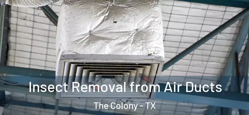 Insect Removal from Air Ducts The Colony - TX