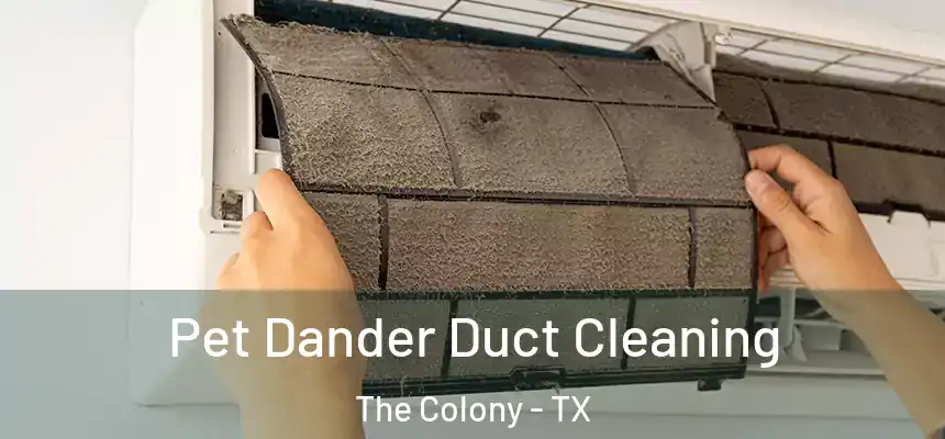  Pet Dander Duct Cleaning The Colony - TX