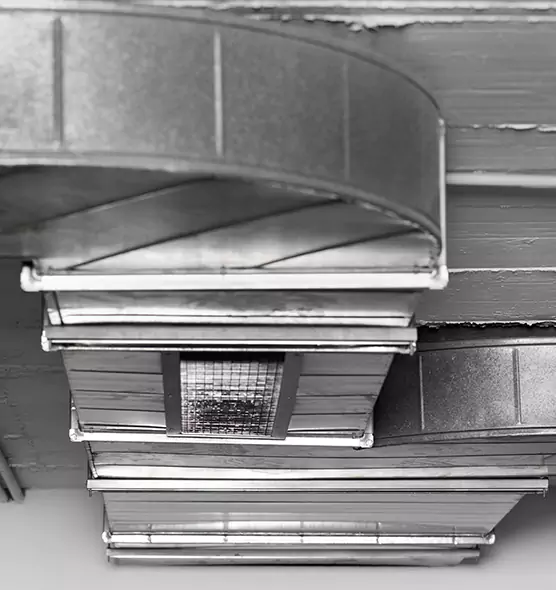 Professional Air Duct Pest Removal in The Colony, TX