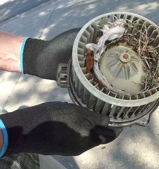 About Air Duct Rat Removal in The Colony, TX