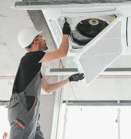 About Air Duct Rodent Removal in The Colony, TX