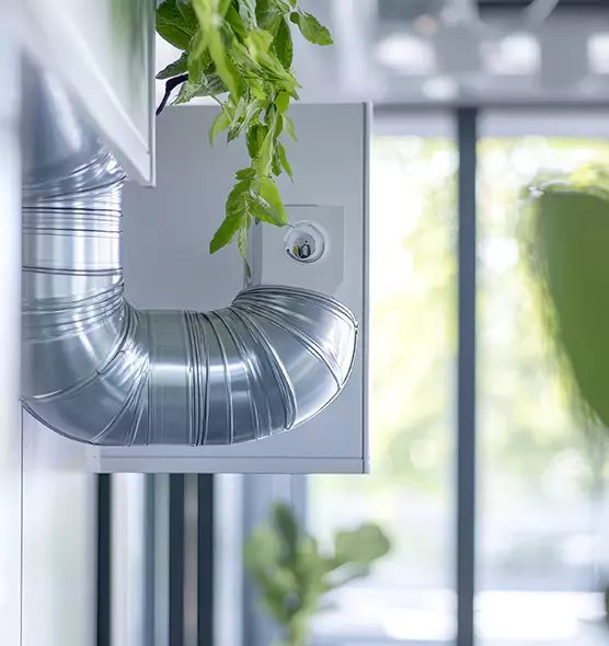 Professional Eco-Safe Dryer Vent Cleaning in The Colony, TX