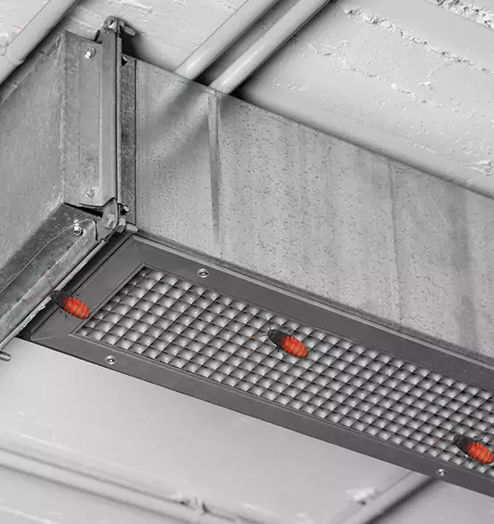 Affordable Insect Removal from Air Ducts in The Colony, TX