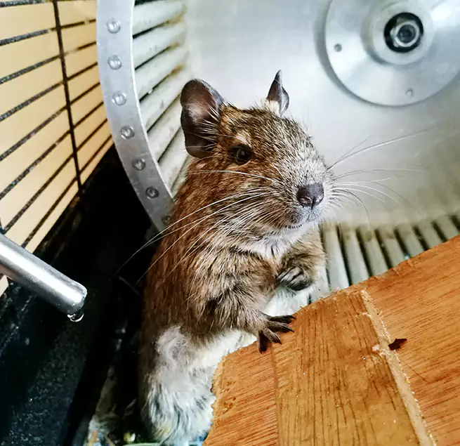 Why Homeowners & Businesses Trust Us The Colony, TX?