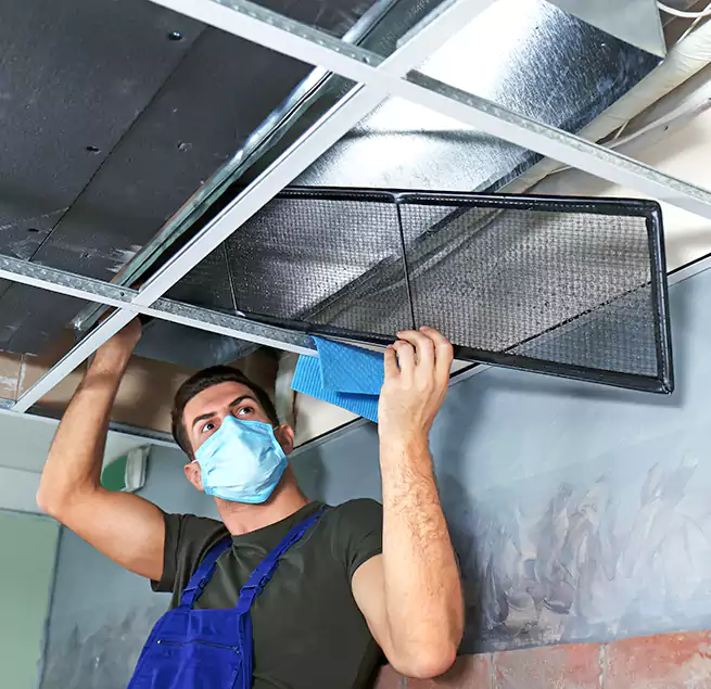 Why Homeowners Businesses Trust Us in The Colony, TX