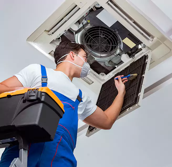 Why Homeowners & Businesses Trust Us in The Colony, TX