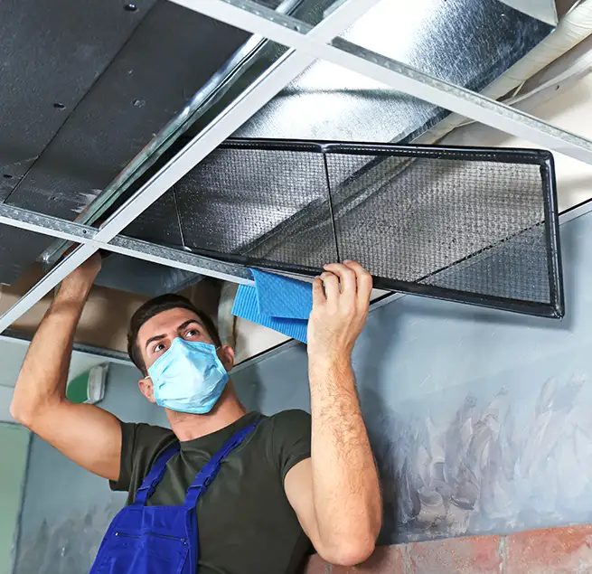 Why Homeowners & Businesses Trust Us in The Colony, TX?