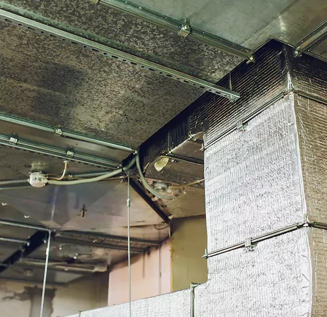 Why Homeowners & Businesses Trust Us in The Colony, TX?